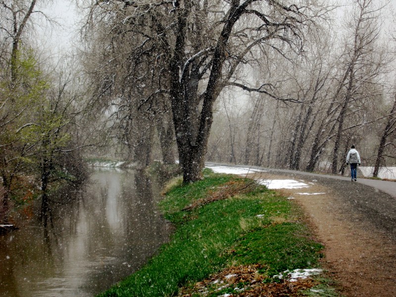 highline canal
